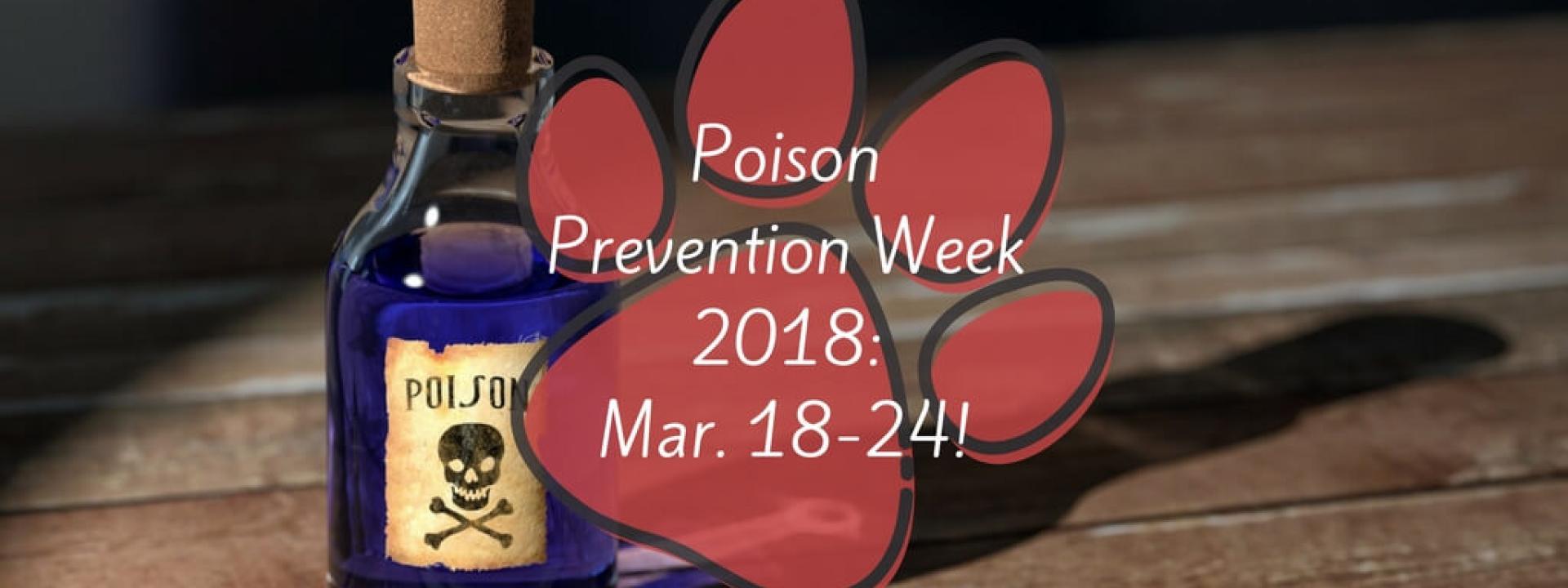 poison-prevention-week-Blog-Header.jpg
